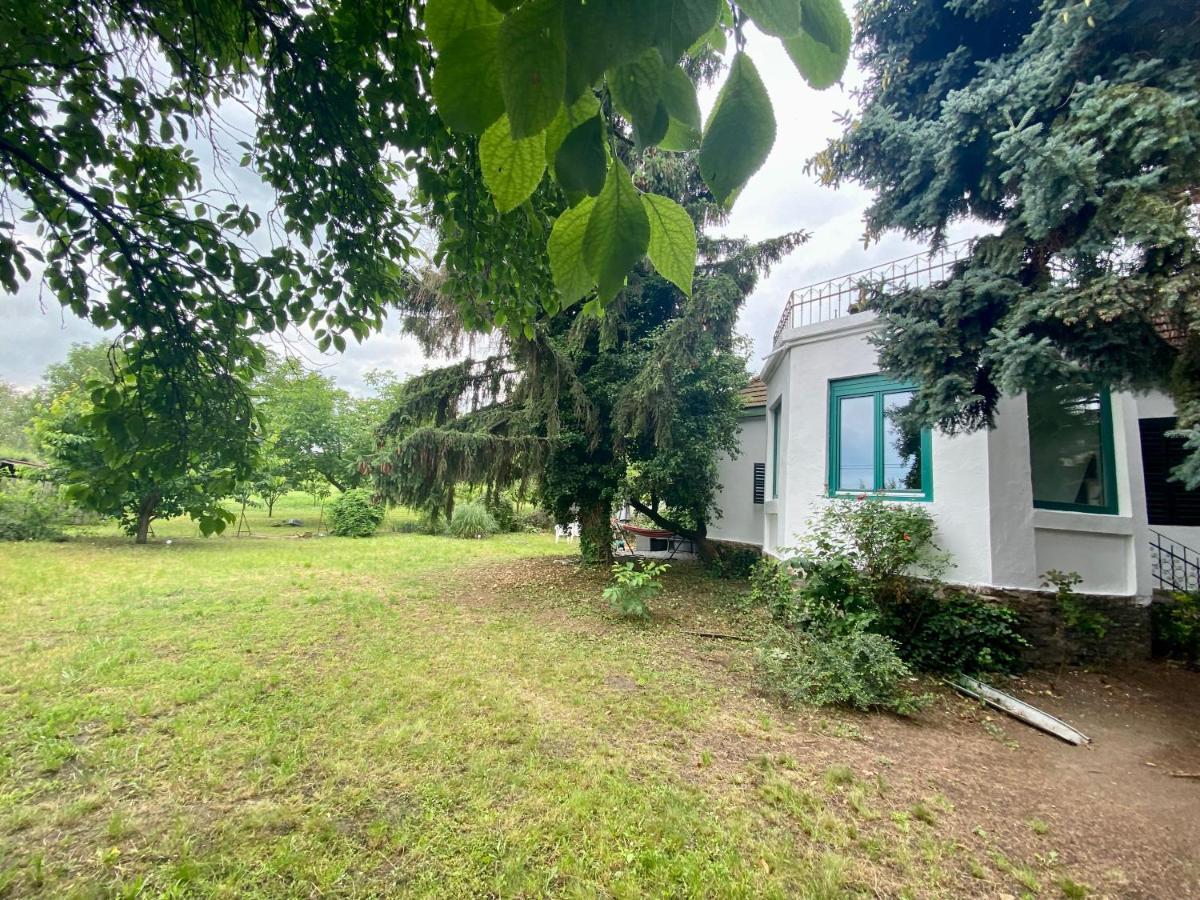Villa Delibab Bytom Extérieur photo